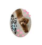 カトりんの日常♪③（個別スタンプ：10）