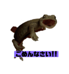 ペットのヤモリちゃん（個別スタンプ：1）