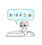 しろねこサン（個別スタンプ：1）