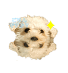 むーさんl（個別スタンプ：2）