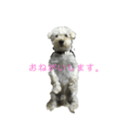 むーさんl（個別スタンプ：8）