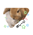 ずんもーすたんぷ（個別スタンプ：2）