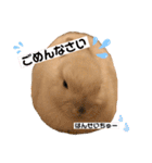 ずんもーすたんぷ（個別スタンプ：4）