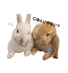 ずんもーすたんぷ（個別スタンプ：7）