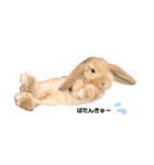 ずんもーすたんぷ（個別スタンプ：8）