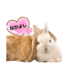 ずんもーすたんぷ（個別スタンプ：10）