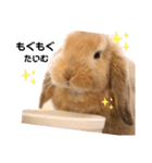 ずんもーすたんぷ（個別スタンプ：11）