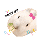 ずんもーすたんぷ（個別スタンプ：13）