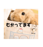 ずんもーすたんぷ（個別スタンプ：15）