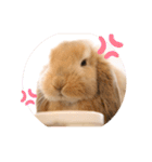 ずんもーすたんぷ（個別スタンプ：16）