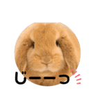 ずんもーすたんぷ（個別スタンプ：18）