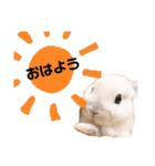 ずんもーすたんぷ（個別スタンプ：20）