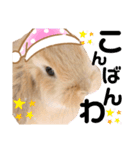 ずんもーすたんぷ（個別スタンプ：24）