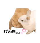 ずんもーすたんぷ（個別スタンプ：25）