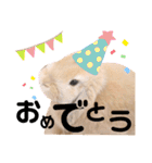 ずんもーすたんぷ（個別スタンプ：28）