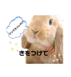 ずんもーすたんぷ（個別スタンプ：29）