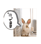 ずんもーすたんぷ（個別スタンプ：31）