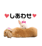 ずんもーすたんぷ（個別スタンプ：33）