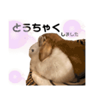 ずんもーすたんぷ（個別スタンプ：34）