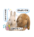 ずんもーすたんぷ（個別スタンプ：36）