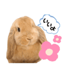 ずんもーすたんぷ（個別スタンプ：39）
