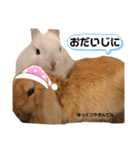 ずんもーすたんぷ（個別スタンプ：40）