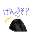 あずき___1（個別スタンプ：5）