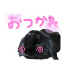 あずき___1（個別スタンプ：6）