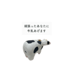 乳牛さん（個別スタンプ：3）