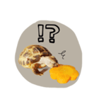 のこのこすたんぷ1（個別スタンプ：4）
