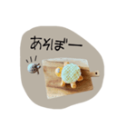 のこのこすたんぷ1（個別スタンプ：8）