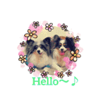 minmin＆gingin family♪（個別スタンプ：2）
