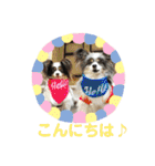 minmin＆gingin family♪（個別スタンプ：3）