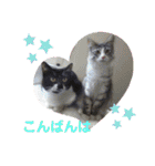 minmin＆gingin family♪（個別スタンプ：5）