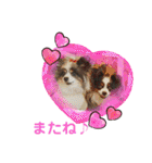 minmin＆gingin family♪（個別スタンプ：7）
