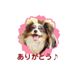 minmin＆gingin family♪（個別スタンプ：10）