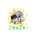 minmin＆gingin family♪（個別スタンプ：14）