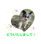 minmin＆gingin family♪（個別スタンプ：15）
