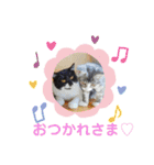 minmin＆gingin family♪（個別スタンプ：17）