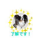 minmin＆gingin family♪（個別スタンプ：19）