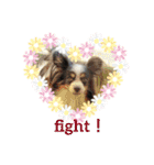 minmin＆gingin family♪（個別スタンプ：20）