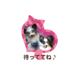 minmin＆gingin family♪（個別スタンプ：21）