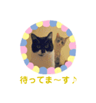 minmin＆gingin family♪（個別スタンプ：22）
