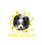 minmin＆gingin family♪（個別スタンプ：25）