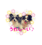 minmin＆gingin family♪（個別スタンプ：27）
