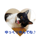 minmin＆gingin family♪（個別スタンプ：28）