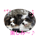 minmin＆gingin family♪（個別スタンプ：29）