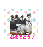 minmin＆gingin family♪（個別スタンプ：30）