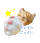 ☆ユメの弟分のテトでござる☆（個別スタンプ：6）