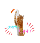 ☆ユメの弟分のテトでござる☆（個別スタンプ：10）